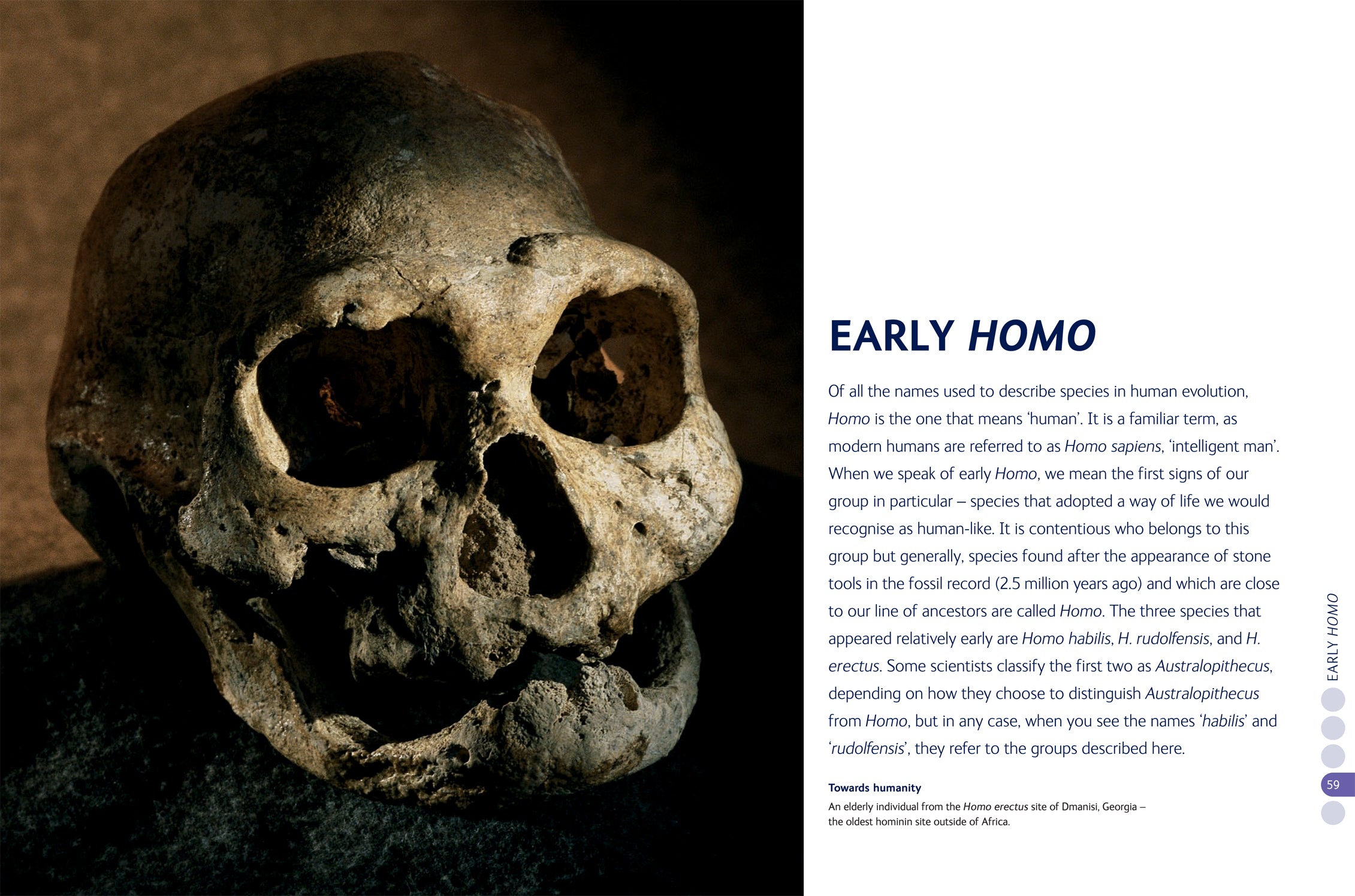 The Human Story
