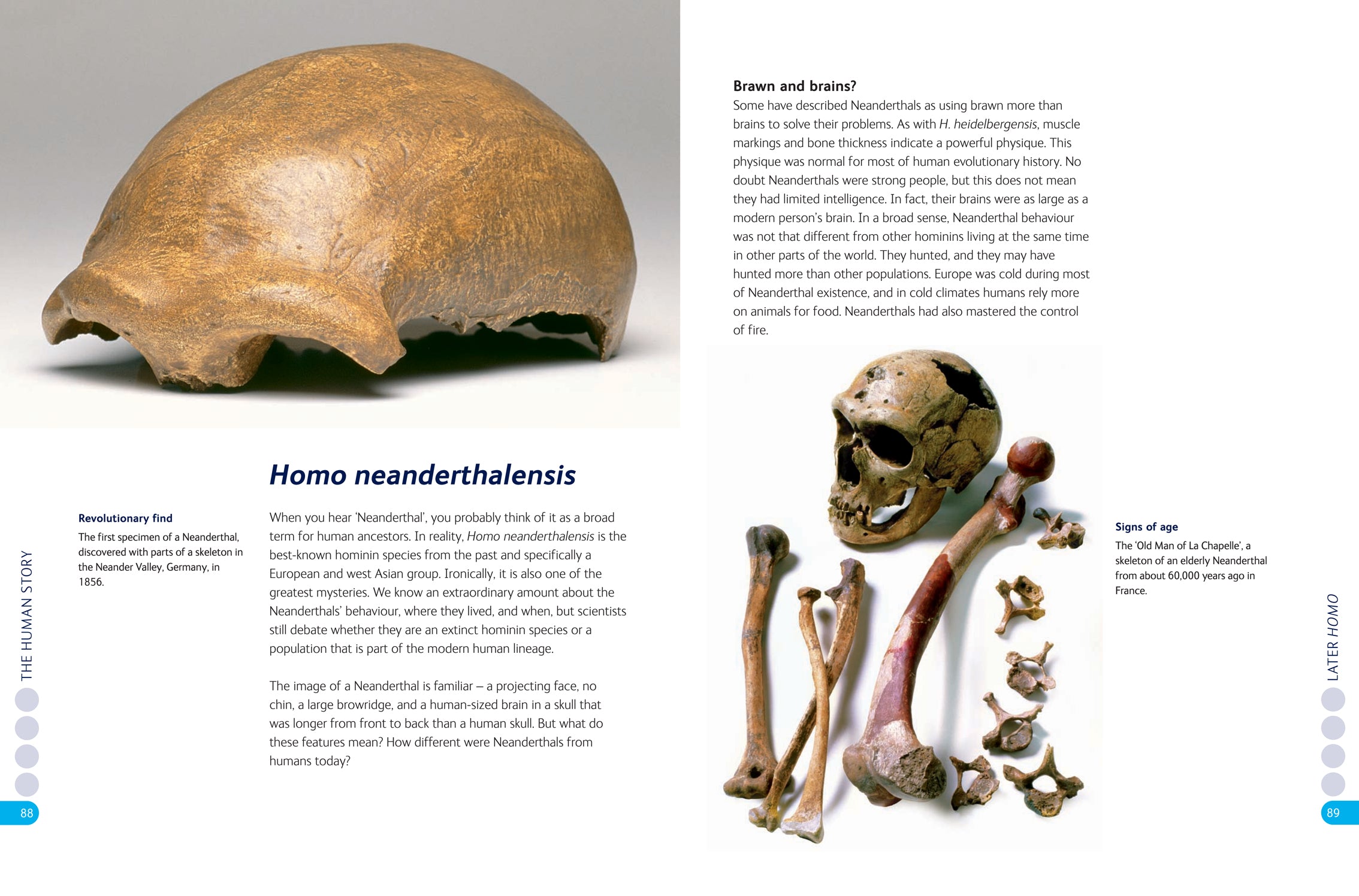 The Human Story
