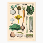 Museum Victoria Rare Book Posters