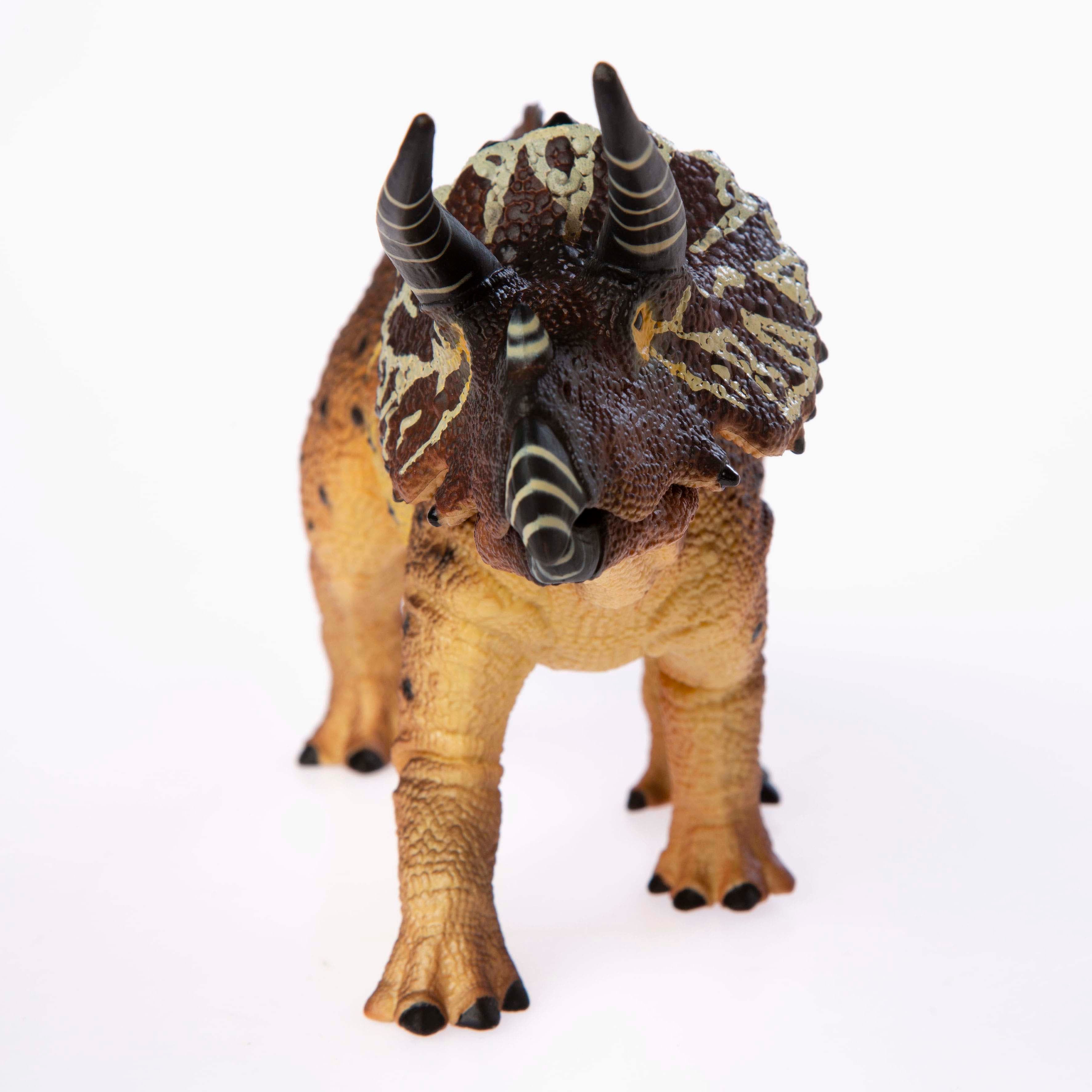HD216747-A-Triceratops-067-online.jpg