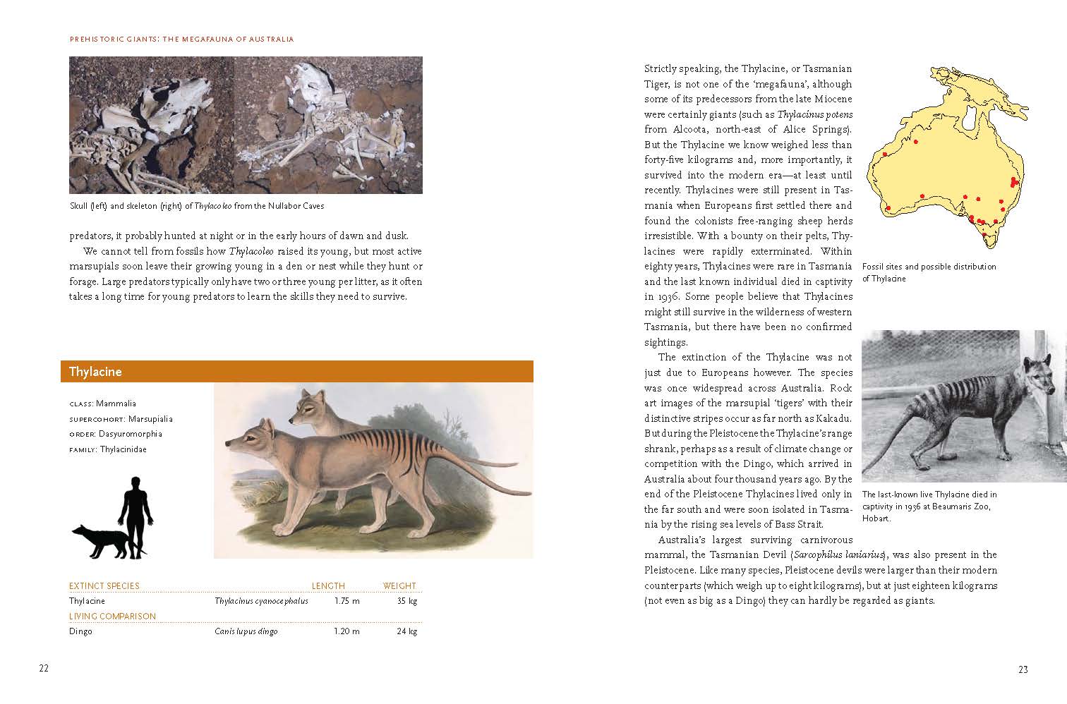 PrehistoricGiants_Spread_Page_2.jpg