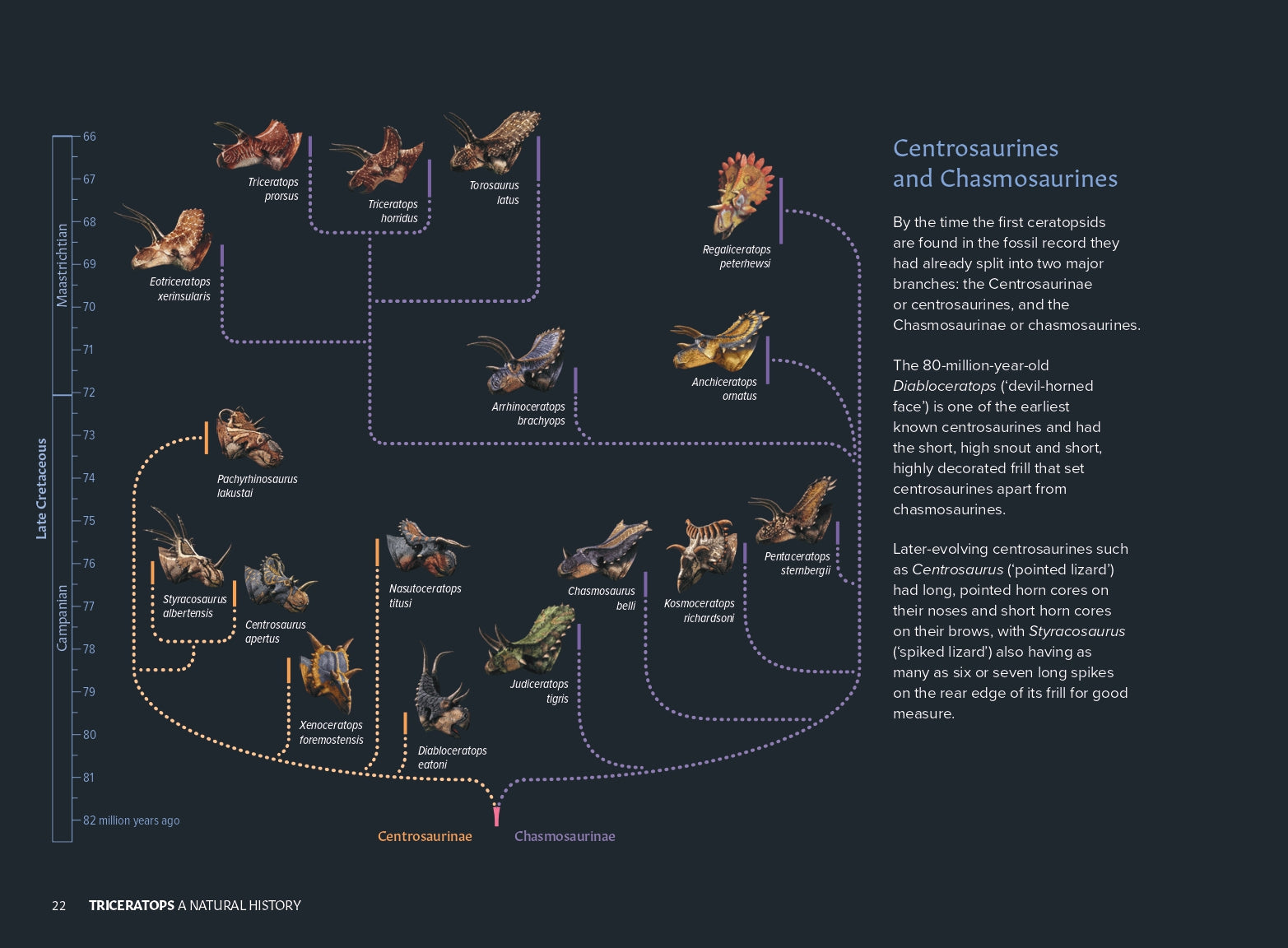 TriceratopsANaturalHistorysamplespreads_3.jpg